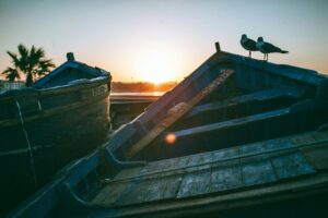 Two seagulls perched on old boats against a serene sunset backdrop, with palm trees in view.