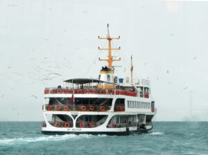 A white ferry transports passengers across the blue sea surrounded by seagulls under a light sky.