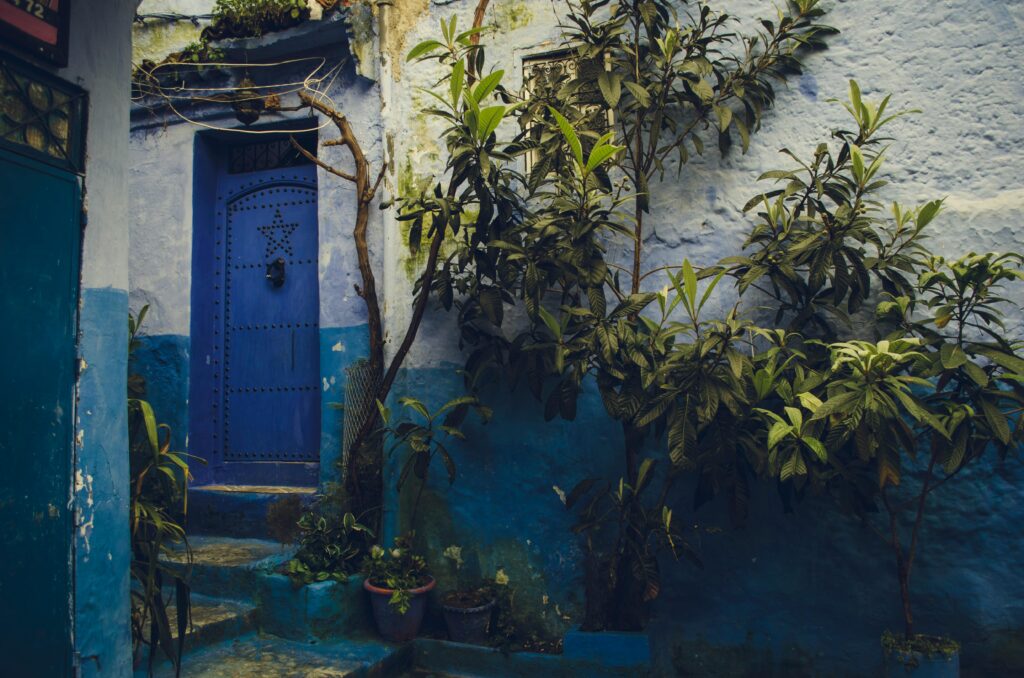 Picturesque blue doorway in Chefchaouen, Morocco with lush plants and textured walls.